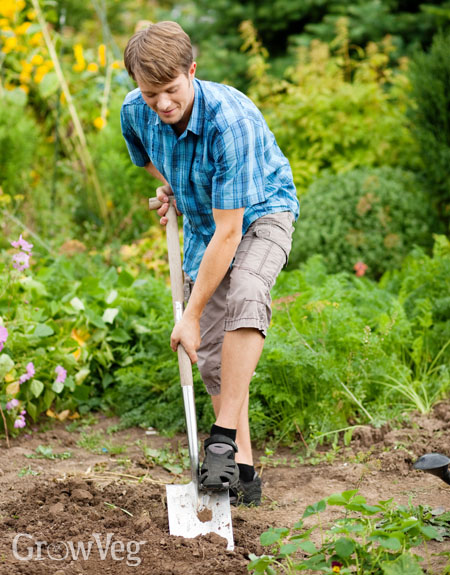 No-Till Gardening: An Easier Way to Grow