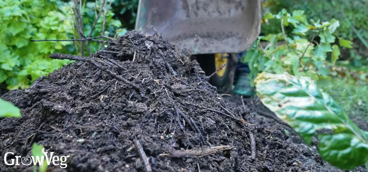 Adding compost to a bed