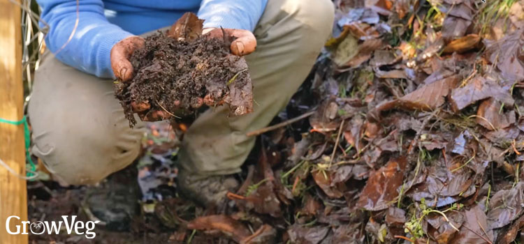 Leaf mold