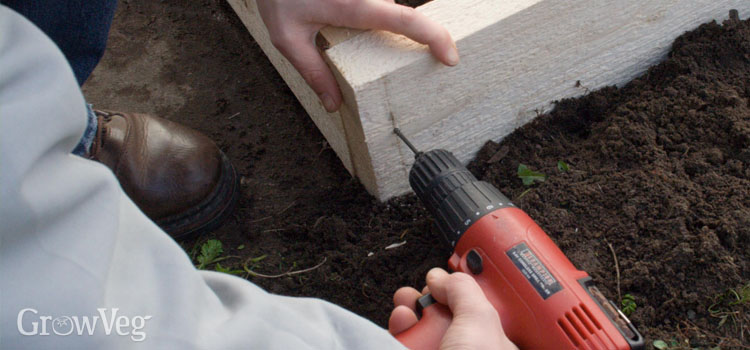 Building a raised bed