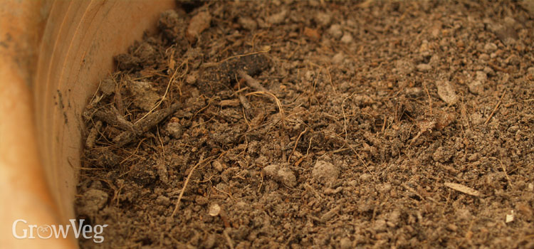 Dried out compost in a container