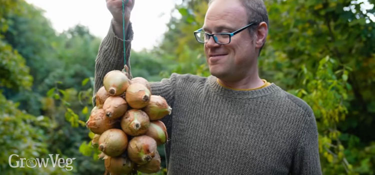 Ben with harvested onions