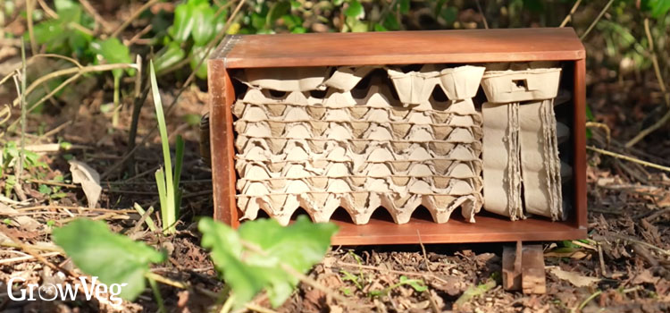 Egg carton bug hotel