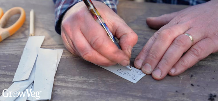 Plant labels made from an egg carton