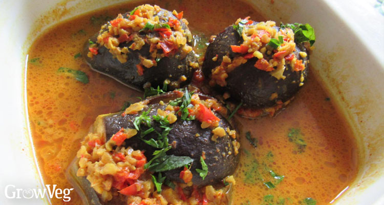 Stuffed eggplant