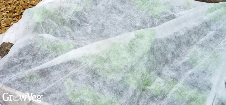 Fleece row cover