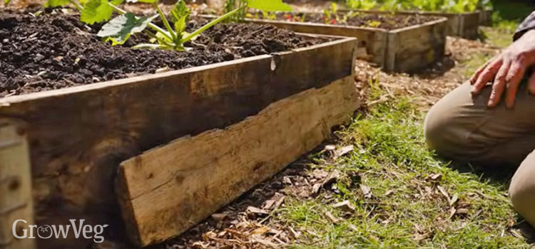 Plank slug sanctuary
