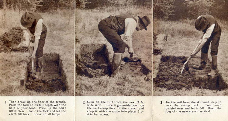 “Ministry-of-Agriculture-dougle-digging-leaflet”