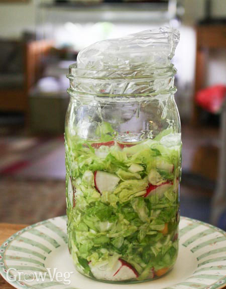 Preserving vegetables by fermenting