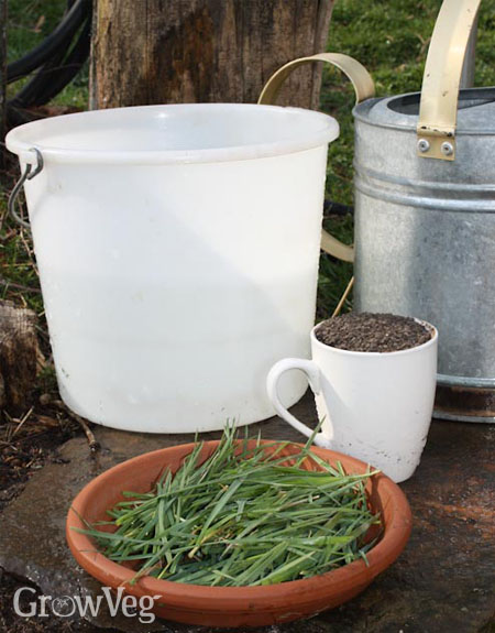 A gallon batch of homemade fertiliser