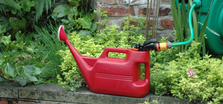 Filling a watering can