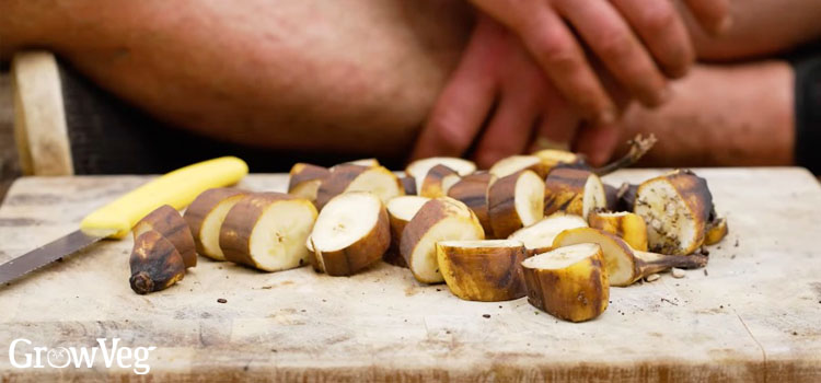 Cut-up bananas