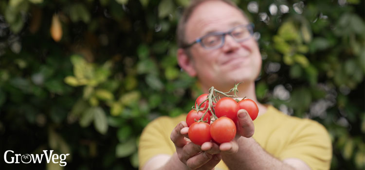 Ben with tomatoes