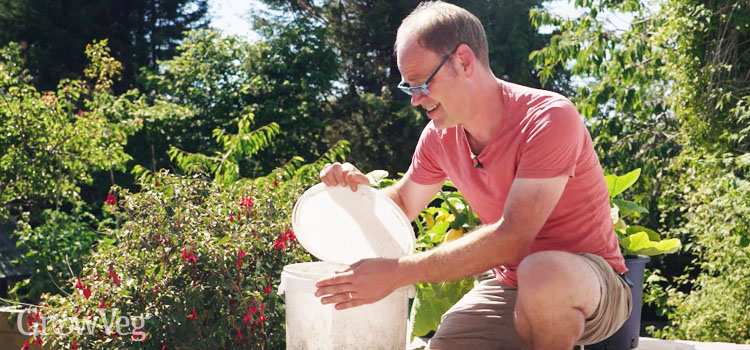 'Burping' the ferment
