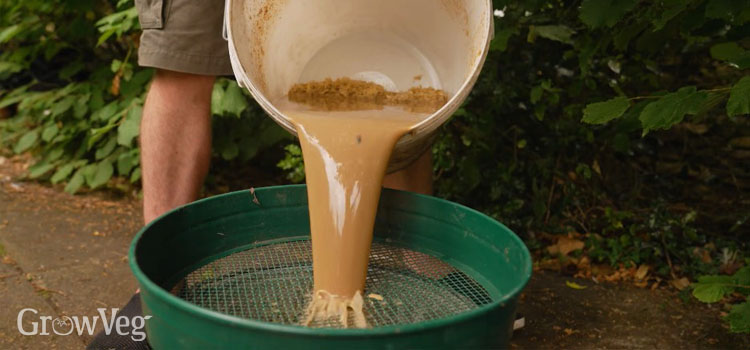 Decanting fish fertiliser into a bucket