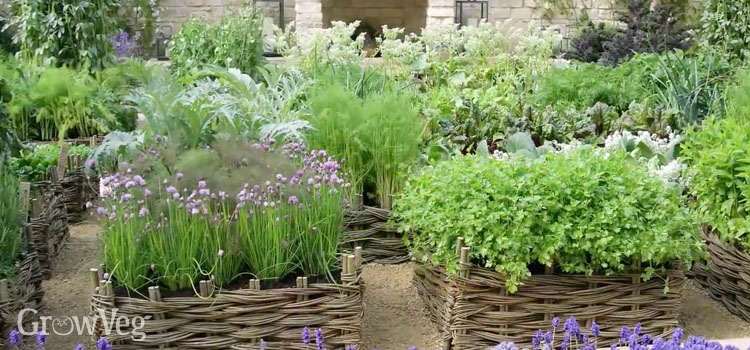 Herb Garden Design Ideas, How To Grow A Simple Herb Garden