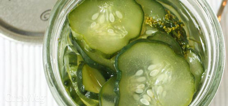 Freezer pickles