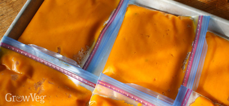 Pumpkin puree in freezer bags ready for freezing