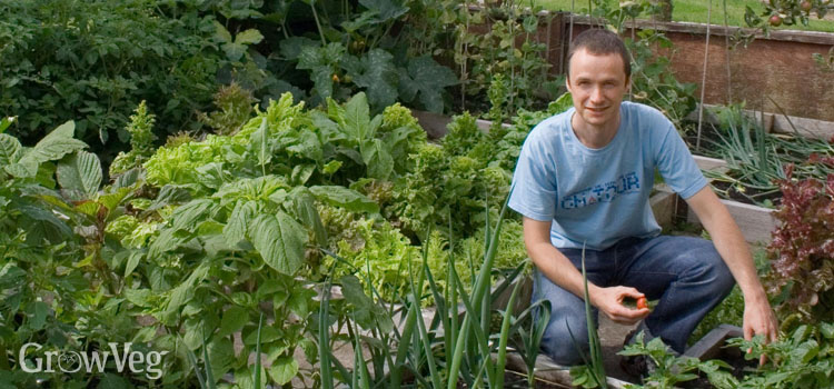 Jeremy's vegetable garden