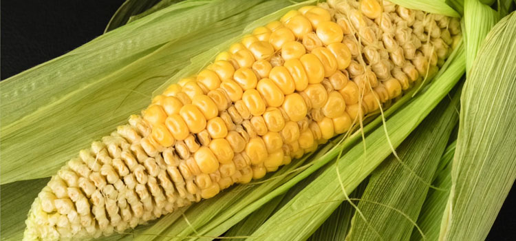 https://gardenplannerwebsites.azureedge.net/blog/fully-filled-corn-poor-pollination-2x.jpg