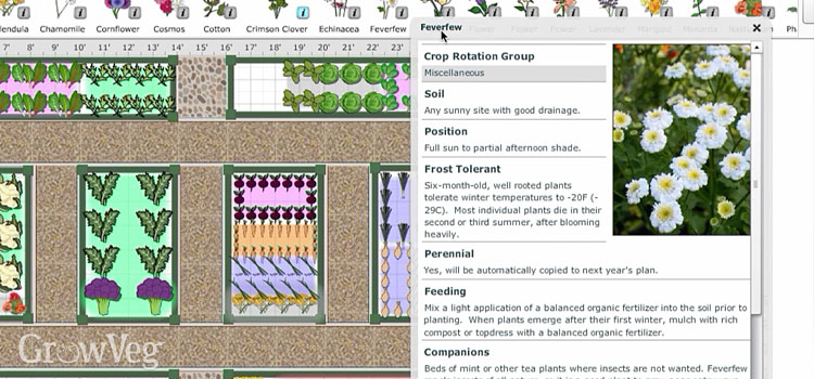 Garden Planner companion planting plan