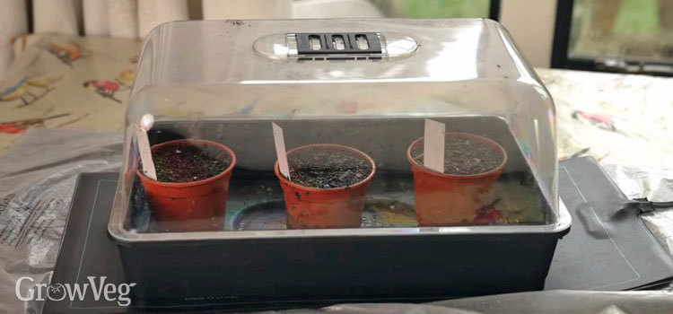 Heat mat and propagator