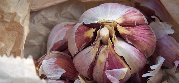 Homegrown garlic is more delicious than store bought
