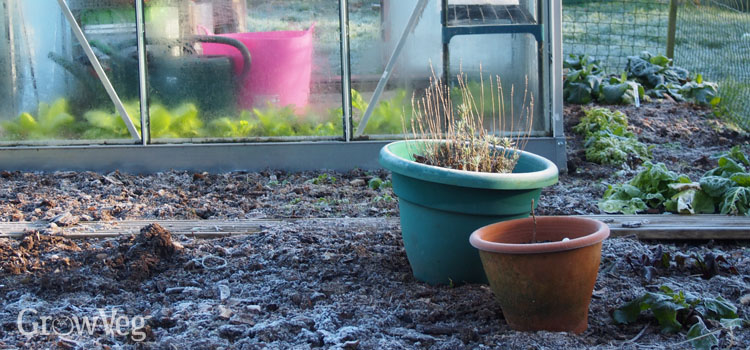 https://gardenplannerwebsites.azureedge.net/blog/greenhouse-and-pots-in-frost-2x.jpg