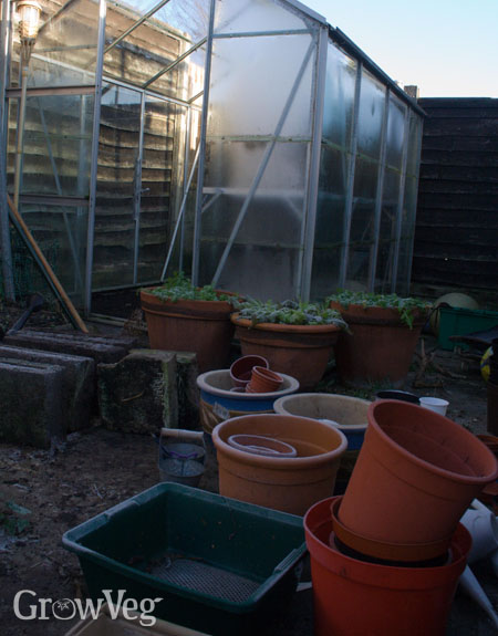 Pots outside a greenhouse in winter