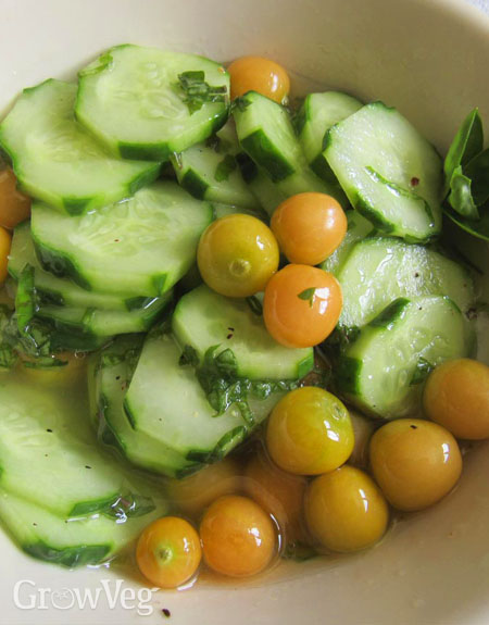 “Ground-cherry-cucumber-salad”
