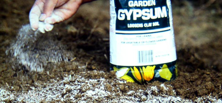 Improving clay soil using gypsum