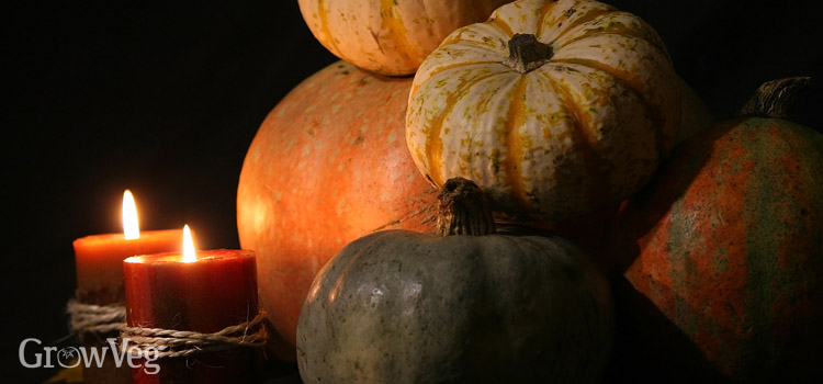 Spooky Halloween pumpkins