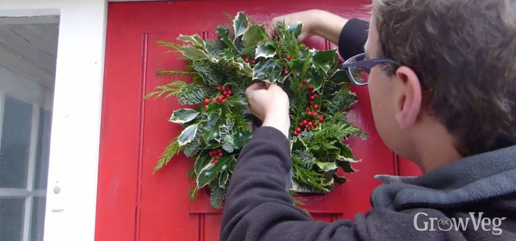 Hanging a traditional Christmas wreath on a front door