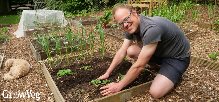 Kid in the garden with a frog