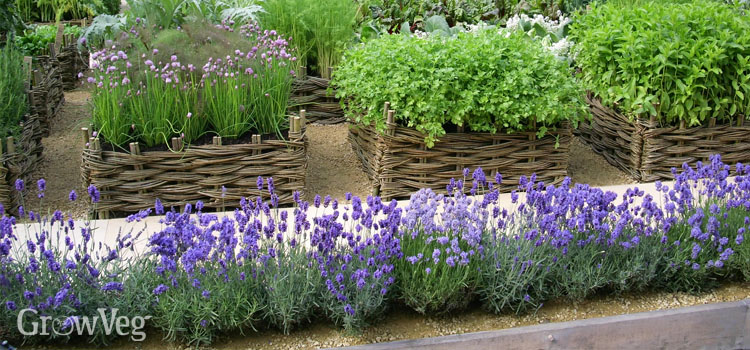 https://gardenplannerwebsites.azureedge.net/blog/herb-garden-wicker-planters-2x.jpg