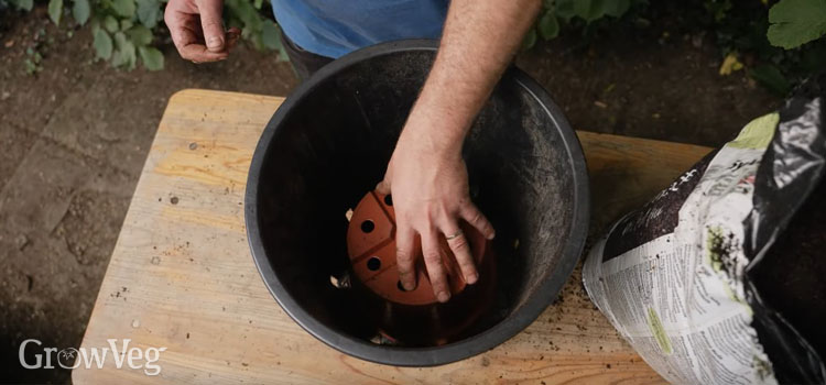 Reducing volume in a plant pot