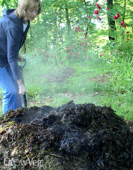 Using Animal Manure in the Vegetable Garden