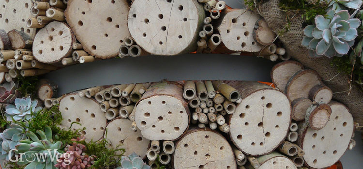 Insect Habitat Wall Mounted Bee House,Natural Wooden House Insect Hotel,Habitat For Beneficial Bug Bees Butterfly,Ladybirds