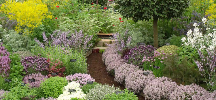 https://gardenplannerwebsites.azureedge.net/blog/jekkas-herb-farm-chelsea-2x.jpg