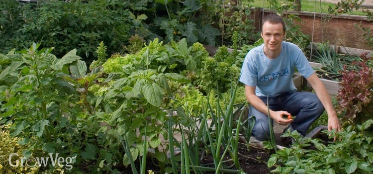 A well planned garden maximises your harvest