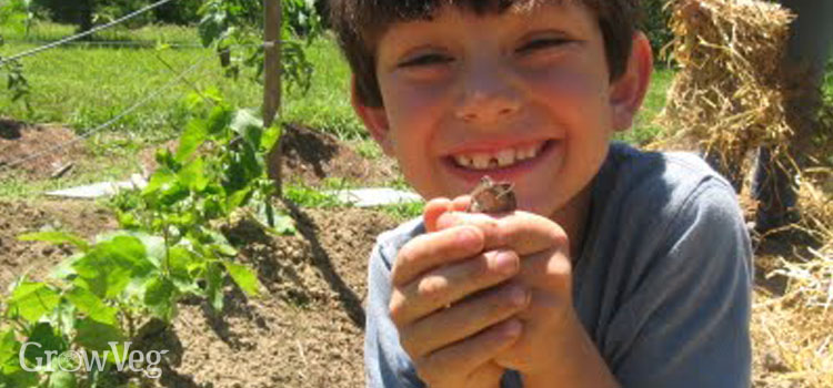 Kid in the garden with a frog