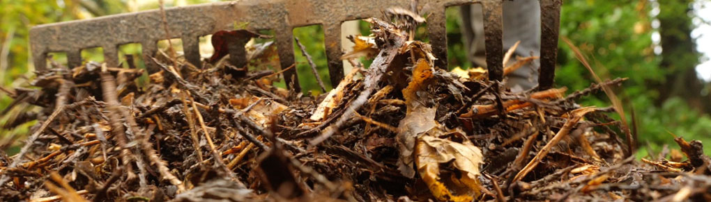 3 Major Mulching Methods You Need To Know About