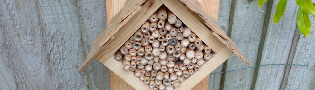 Bug Hotels: How to Make a Home for Beneficial Insects