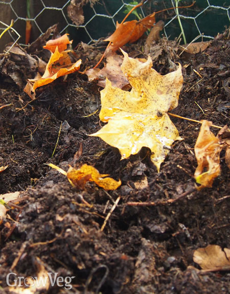 Leaf mold