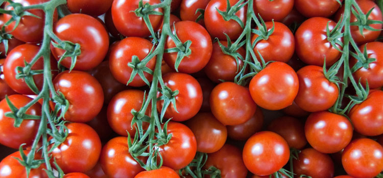 *_* READY TO POST  UK Cherry Vine Tomatoes seeds. Now TOMATO X 20 IN STOCK 