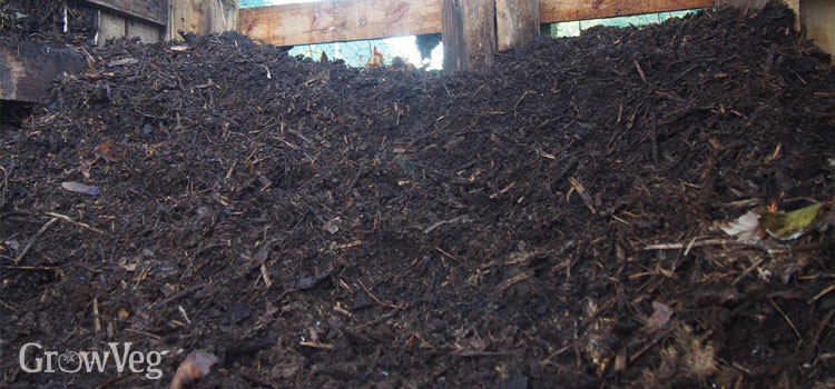 Mature compost, ready to sieve