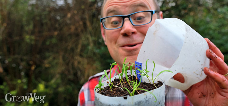 Ben checking on his winter-sown seedlings