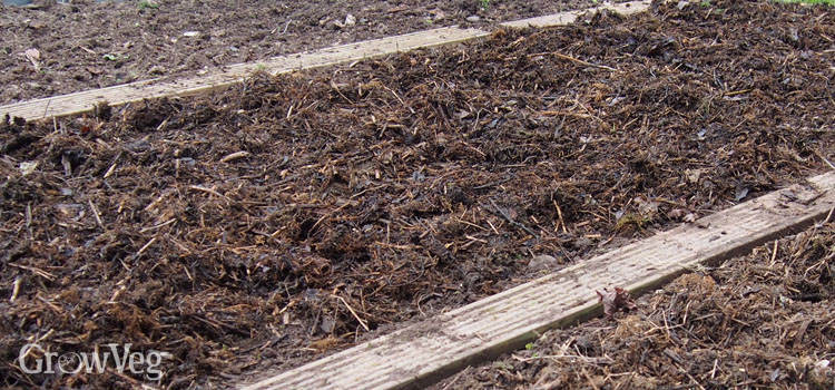 A thickly mulched bed