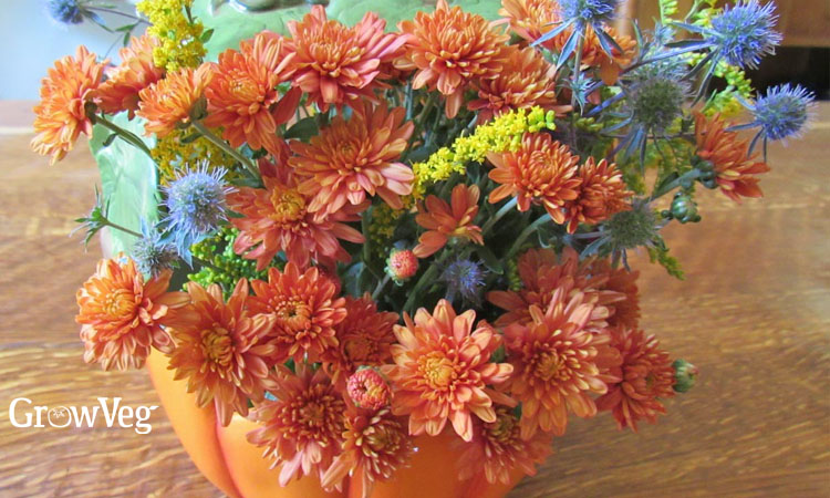 Cut flower arrangment with chrysanthemums