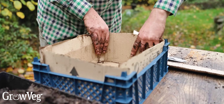 Making a mushroom growing kit